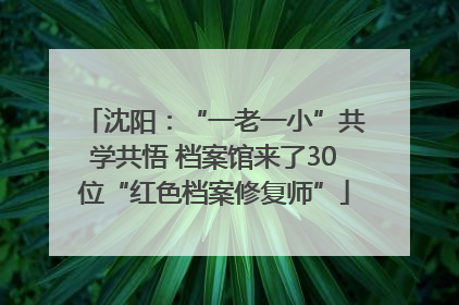 沈阳：“一老一小”共学共悟 档案馆来了30位“红色档案修复师”