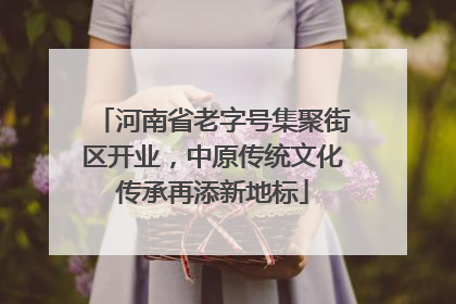河南省老字号集聚街区开业，中原传统文化传承再添新地标