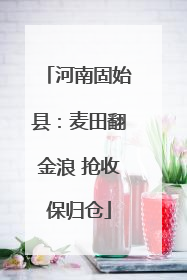 河南固始县：麦田翻金浪 抢收保归仓