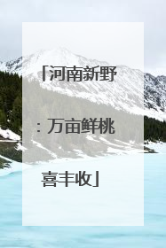 河南新野：万亩鲜桃喜丰收