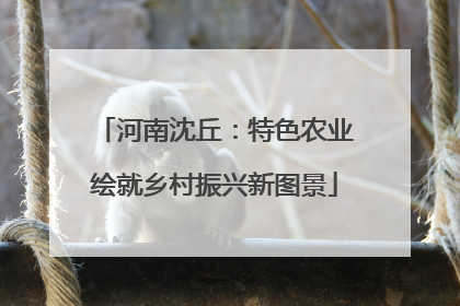 河南沈丘：特色农业绘就乡村振兴新图景