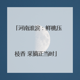 河南淮滨：鲜桃压枝香 采摘正当时