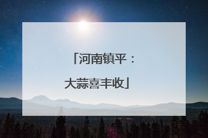 河南镇平：大蒜喜丰收