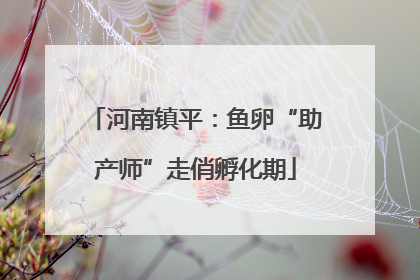 河南镇平：鱼卵“助产师”走俏孵化期