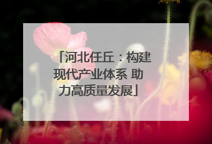 河北任丘：构建现代产业体系 助力高质量发展