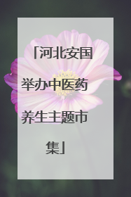 河北安国举办中医药养生主题市集