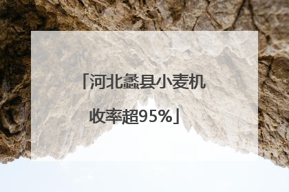 河北蠡县小麦机收率超95%