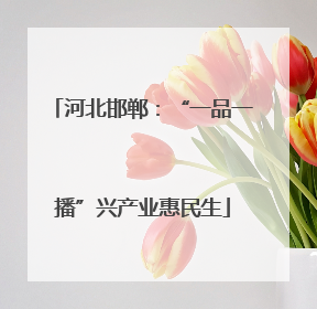 河北邯郸：“一品一播”兴产业惠民生
