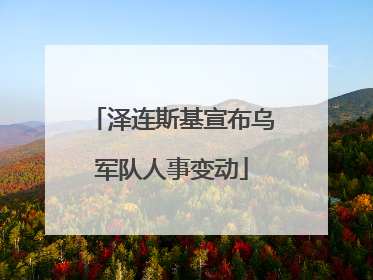 泽连斯基宣布乌军队人事变动