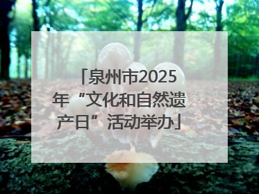 泉州市2025年“文化和自然遗产日”活动举办