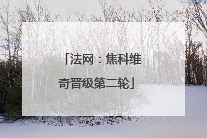 法网：焦科维奇晋级第二轮