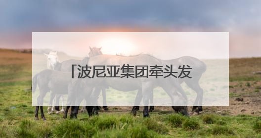 波尼亚集团牵头发布青岛老火腿团体标准 青岛老火腿分会正式揭牌成立