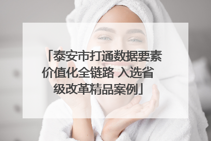 泰安市打通数据要素价值化全链路 入选省级改革精品案例