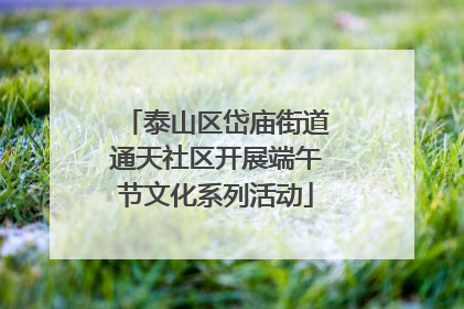 泰山区岱庙街道通天社区开展端午节文化系列活动