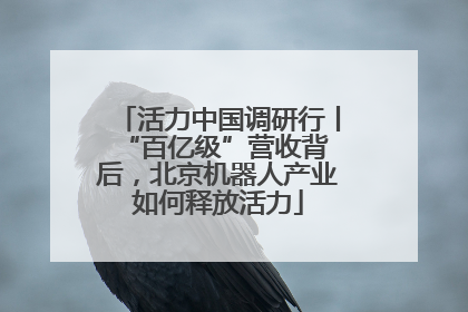 活力中国调研行丨 “百亿级”营收背后，北京机器人产业如何释放活力
