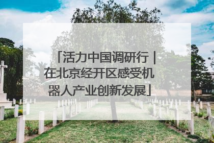 活力中国调研行｜在北京经开区感受机器人产业创新发展