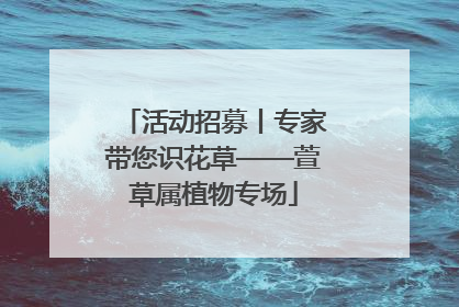 活动招募丨专家带您识花草——萱草属植物专场