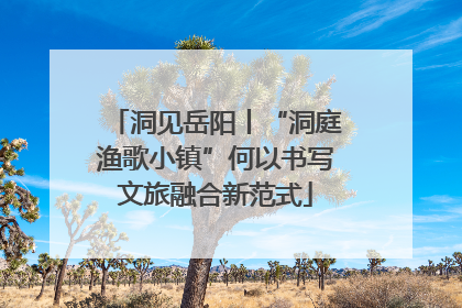 洞见岳阳丨“洞庭渔歌小镇”何以书写文旅融合新范式