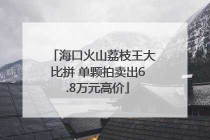 海口火山荔枝王大比拼 单颗拍卖出6.8万元高价