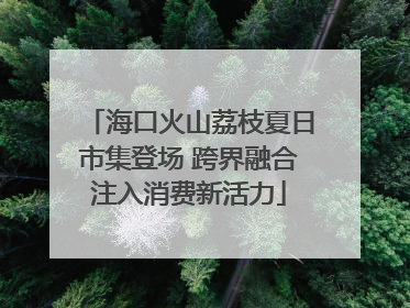 海口火山荔枝夏日市集登场 跨界融合注入消费新活力