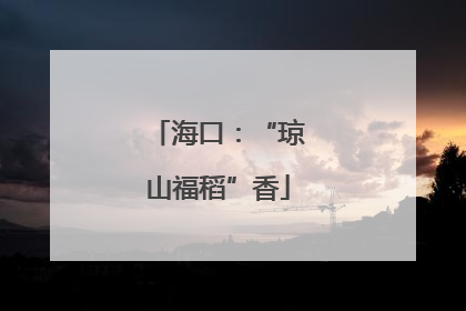 海口：“琼山福稻”香