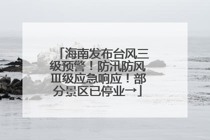 海南发布台风三级预警！防汛防风Ⅲ级应急响应！部分景区已停业→