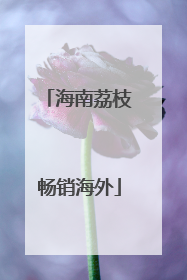 海南荔枝畅销海外