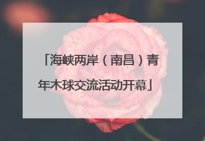海峡两岸（南昌）青年木球交流活动开幕