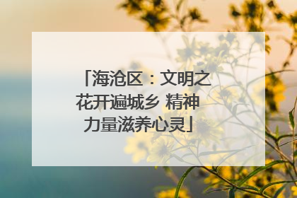海沧区：文明之花开遍城乡 精神力量滋养心灵