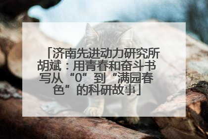 济南先进动力研究所胡斌：用青春和奋斗书写从“0”到“满园春色”的科研故事