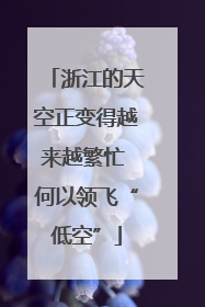 浙江的天空正变得越来越繁忙 何以领飞“低空”