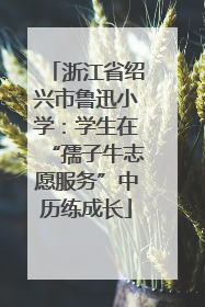 浙江省绍兴市鲁迅小学：学生在“孺子牛志愿服务”中历练成长