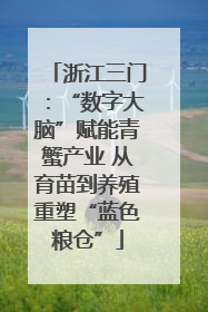 浙江三门：“数字大脑”赋能青蟹产业 从育苗到养殖重塑“蓝色粮仓”