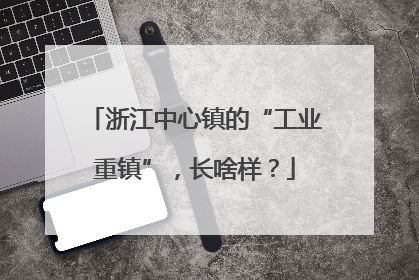 浙江中心镇的“工业重镇”，长啥样？