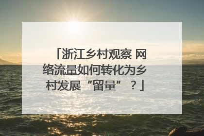 浙江乡村观察 网络流量如何转化为乡村发展“留量”？