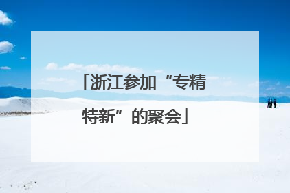 浙江参加“专精特新”的聚会