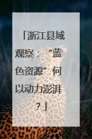 浙江县域观察：“蓝色资源”何以动力澎湃？