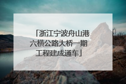 浙江宁波舟山港六横公路大桥一期工程建成通车