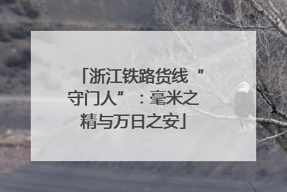 浙江铁路货线“守门人”：毫米之精与万日之安