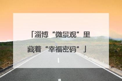 淄博“微景观”里藏着“幸福密码”