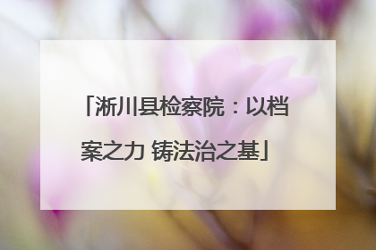 淅川县检察院：以档案之力 铸法治之基