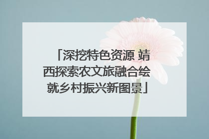 深挖特色资源 靖西探索农文旅融合绘就乡村振兴新图景