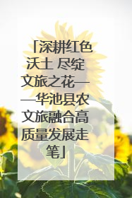 深耕红色沃土 尽绽文旅之花——华池县农文旅融合高质量发展走笔