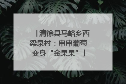 清徐县马峪乡西梁泉村：串串葡萄变身“金果果”