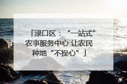 渌口区：“一站式”农事服务中心 让农民种地“不操心”