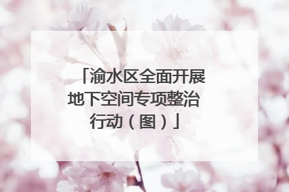 渝水区全面开展地下空间专项整治行动（图）