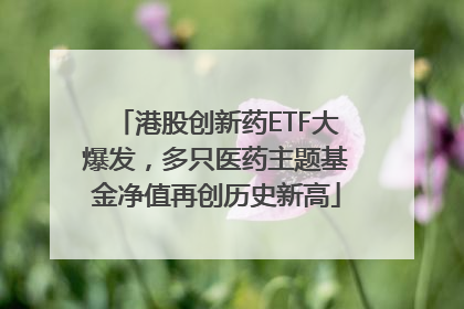 港股创新药ETF大爆发，多只医药主题基金净值再创历史新高