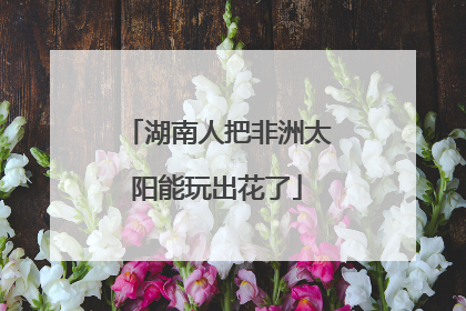 湖南人把非洲太阳能玩出花了