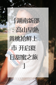 湖南新邵：高山早熟黄桃抢鲜上市 开启夏日甜蜜之旅