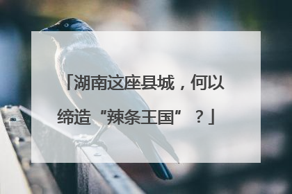 湖南这座县城，何以缔造“辣条王国”？